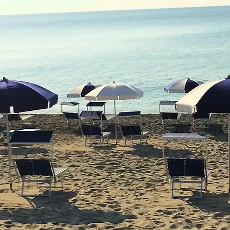 Calabrisella * Borgia