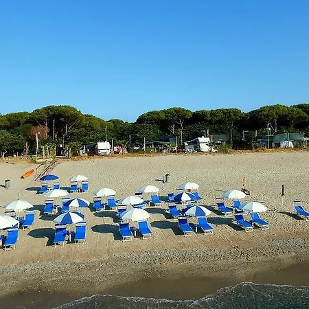 Kemp Calabrisella Borgia